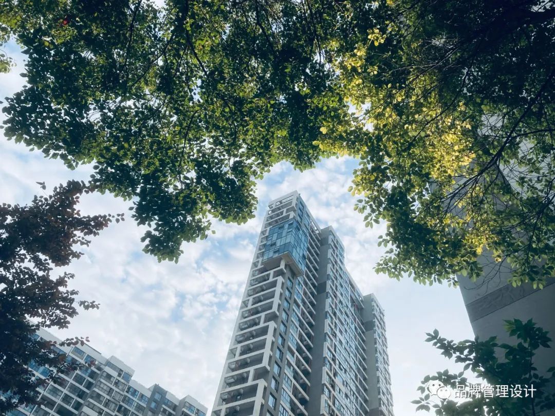 1685417328759683.jpg 1.jpg